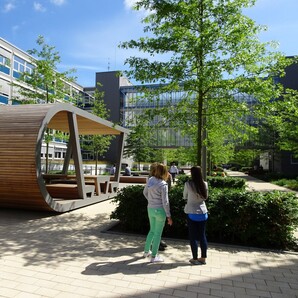 Neben den gepflasterten Wegen des Boulevards gibt es Grünflächen, auf denen Bäume und Büsche wachsen. Auf dem Boulevard steht auch eine moderne Konstruktion aus Holzbrettern und Stahl, die als überdachte Sitzgelegenheit dient.
