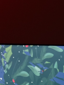 Aloha Paradies – Lernen am anderen Ende der Welt