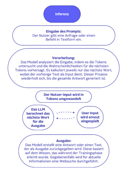 Inference Process of a Large Language Models